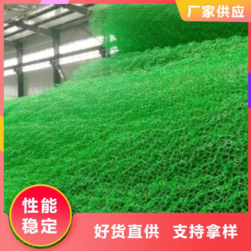 三维植被网水泥化粪池一手货源源头厂家