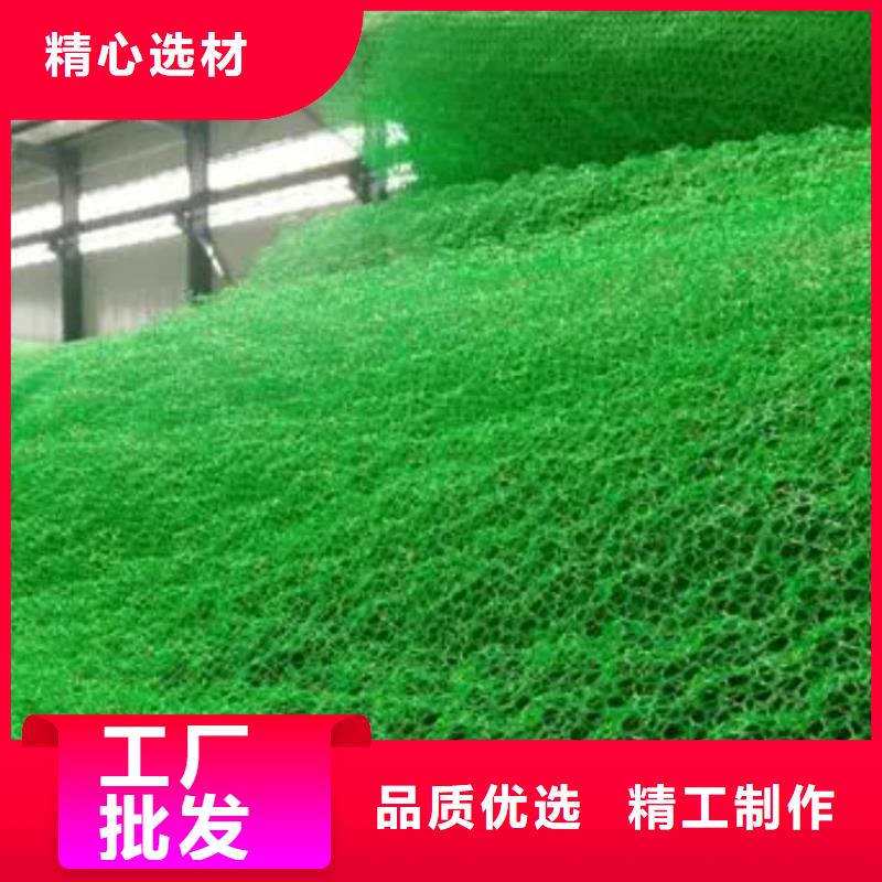 三维植被网排水板精工制作