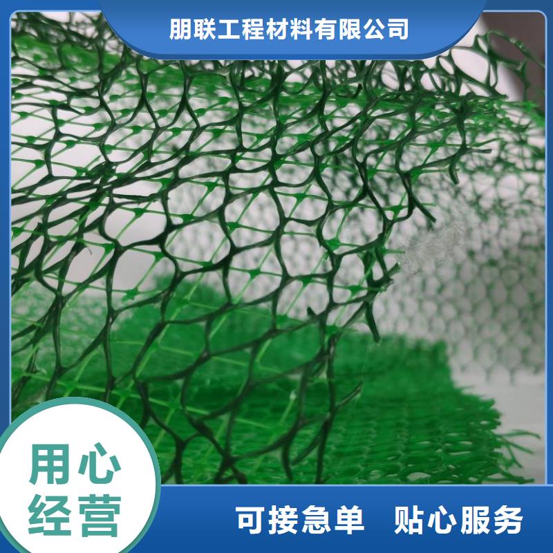 三维植被网_排水板实力商家供货稳定