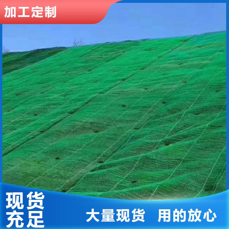 三维植被网排水板实力雄厚品质保障