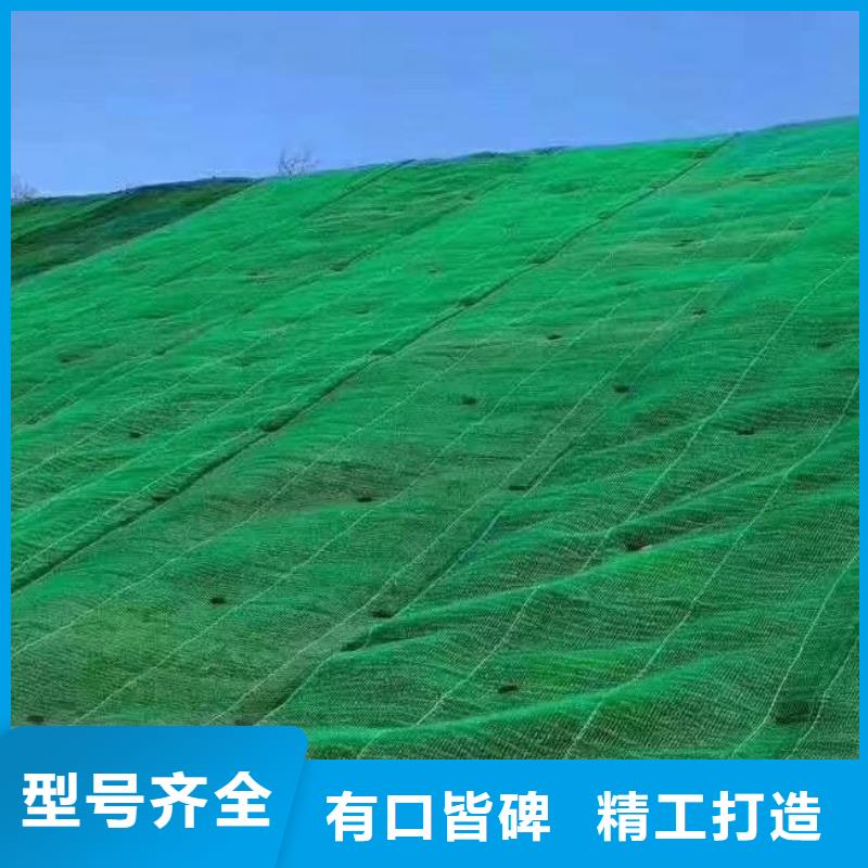 【三维植被网防护虹吸排水收集系统厂家直销供货稳定】