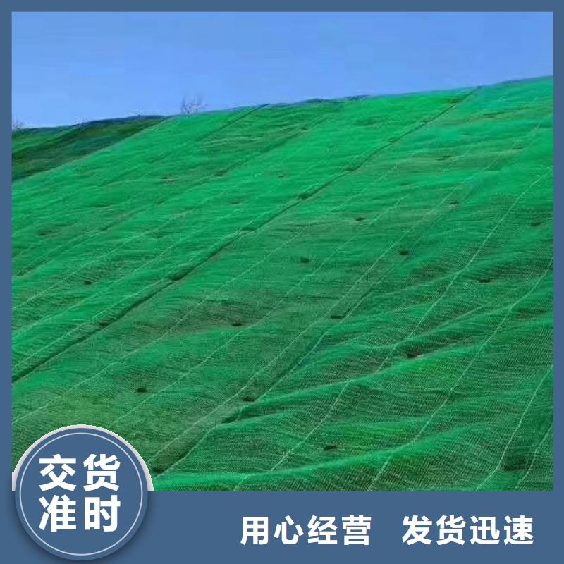 三维植被网【植草格】精益求精