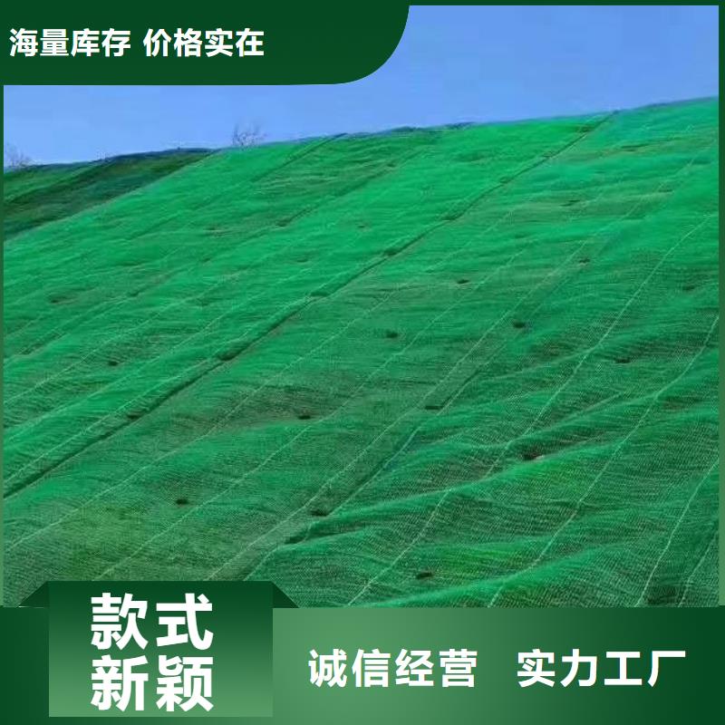 三维植被网_植草格精选货源