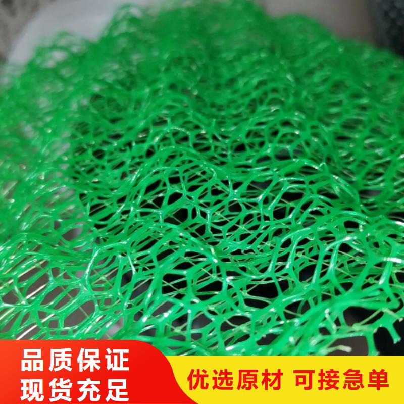 三维植被网_排水板实力商家