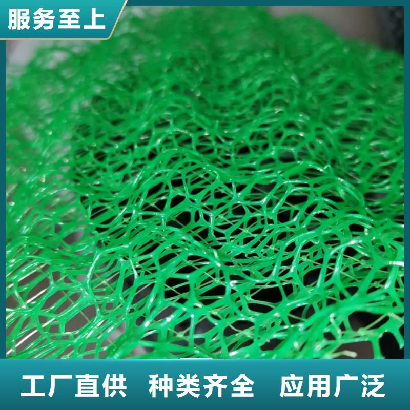 三维植被网_排水板实力商家