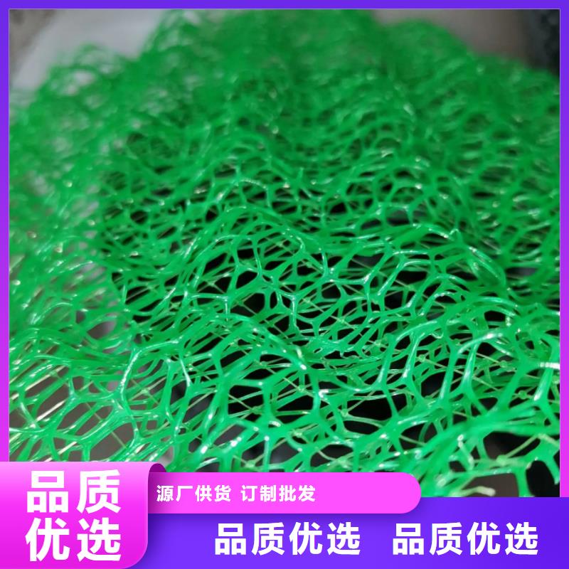 三维植被网防护虹吸排水收集系统适用场景