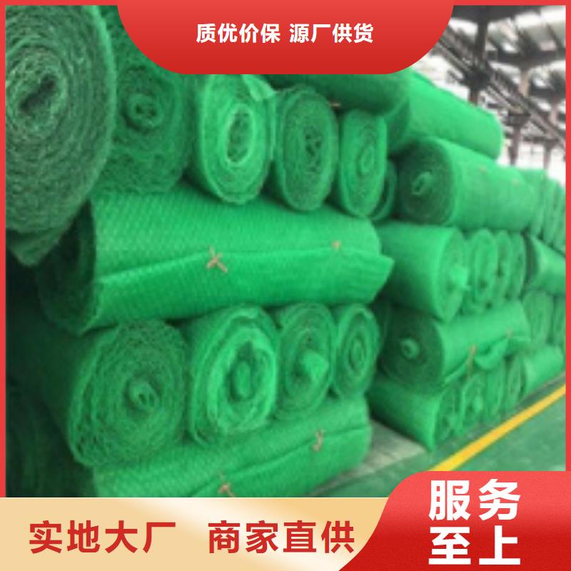 三维植被网植草格工厂批发