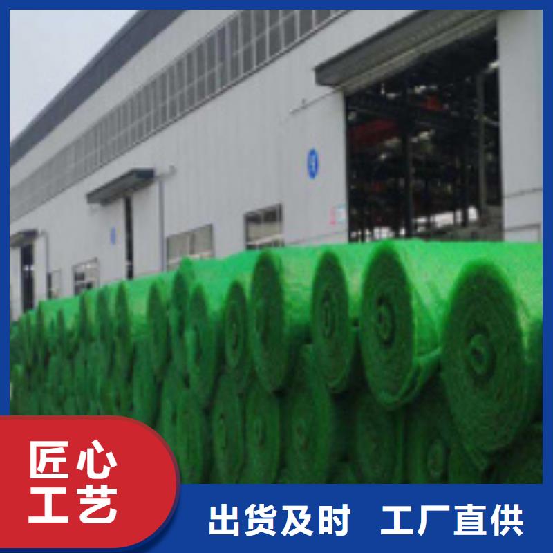 三维植被网【防护虹吸排水收集系统】定制零售批发