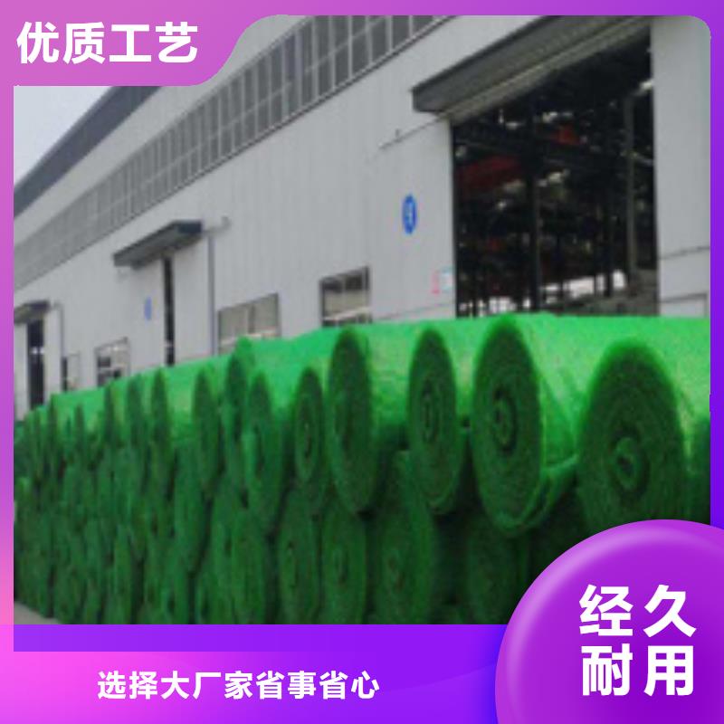 三维植被网_车库虹吸排水系统优质材料厂家直销