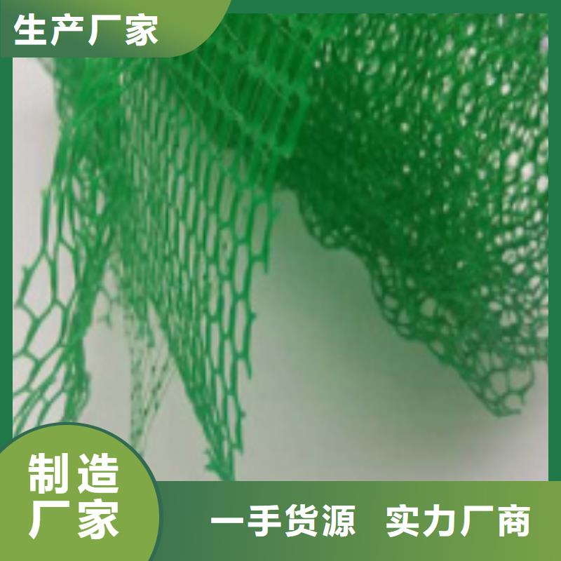 三维植被网防护虹吸排水收集系统闪电发货