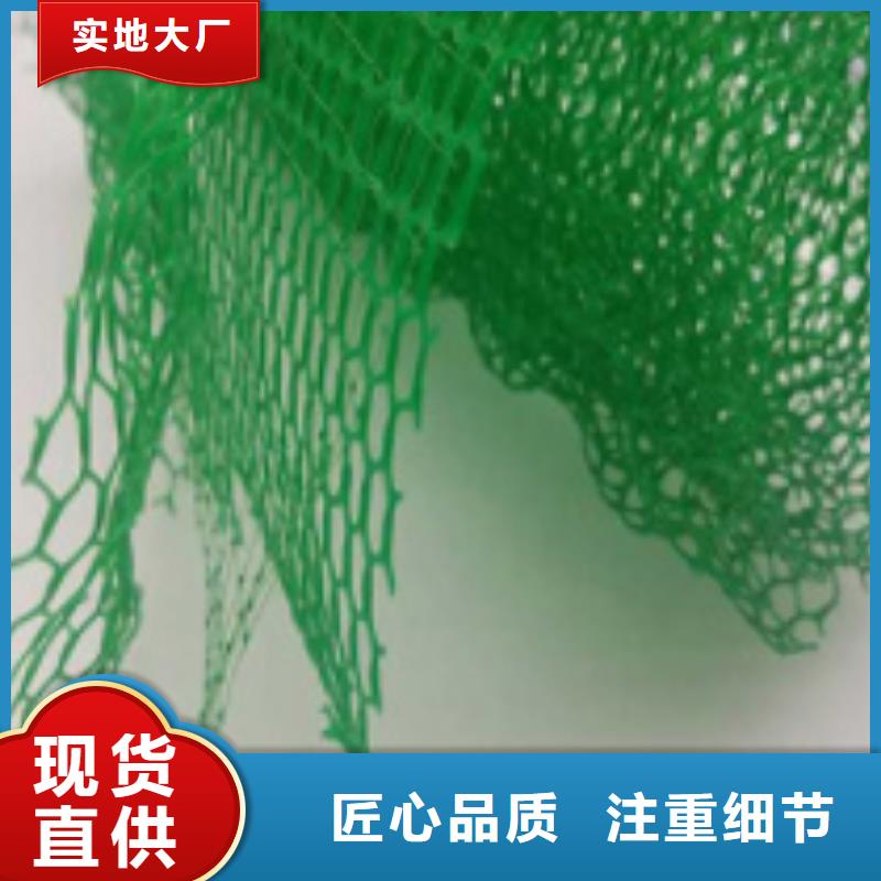 三维植被网植草格工厂批发