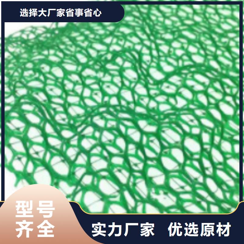 三维植被网植草格款式新颖
