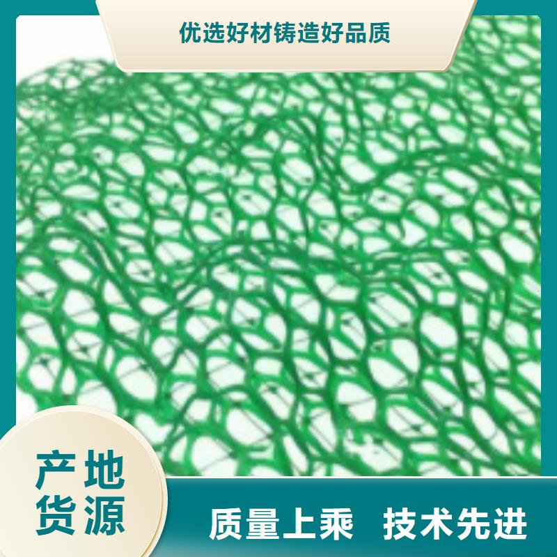 三维植被网,植草格现货充足