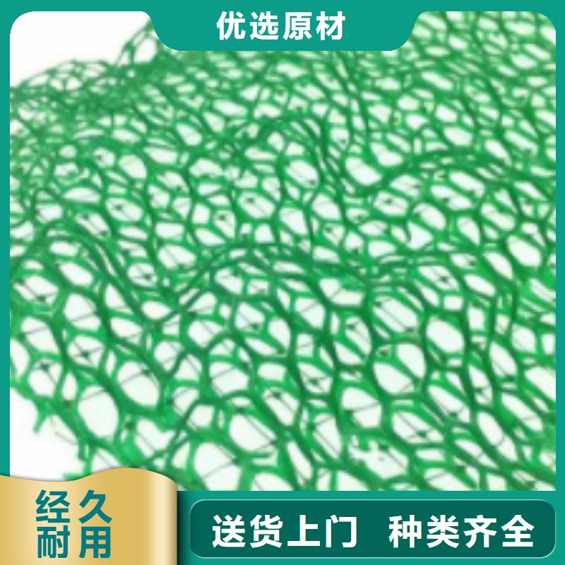 三维植被网植草格工厂批发