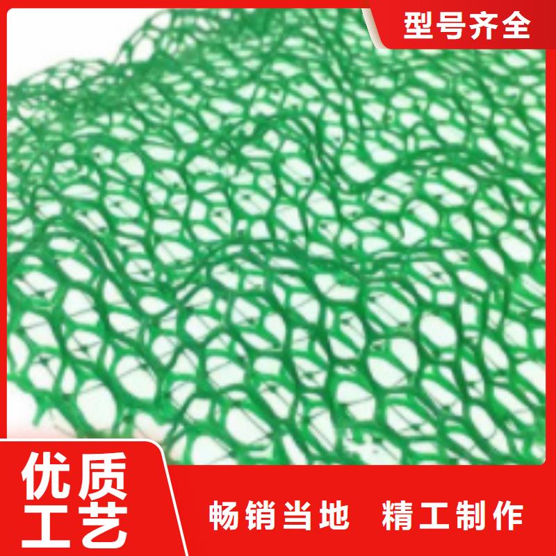 【三维植被网水泥化粪池产地厂家直销】