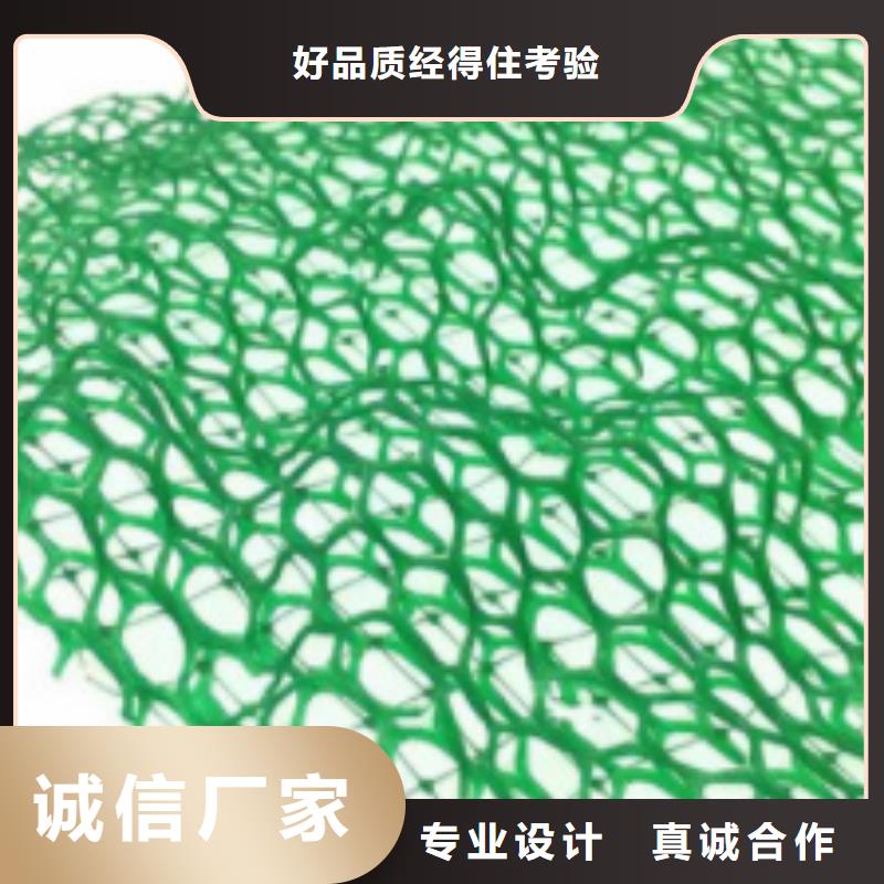 三维植被网-防护虹吸排水收集系统厂家直销大量现货