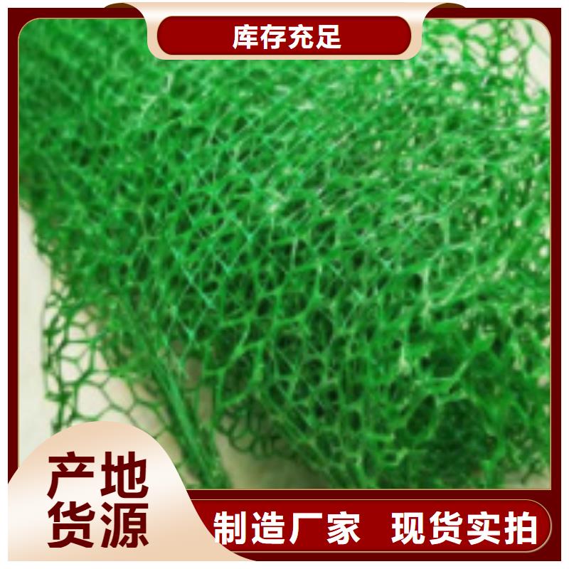 三维植被网植草格工厂批发
