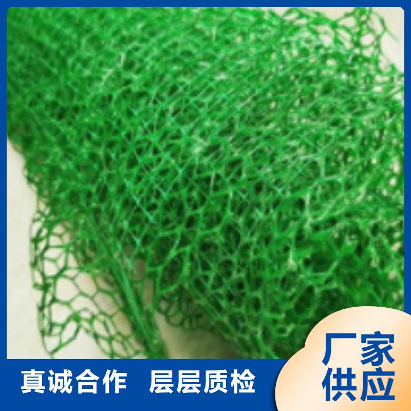 三维植被网植草格工厂批发