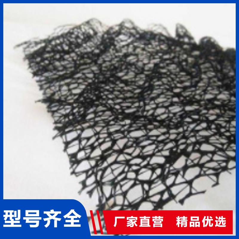 三维植被网水泥化粪池批发价格