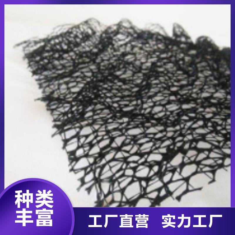 三维植被网排水板实力雄厚品质保障