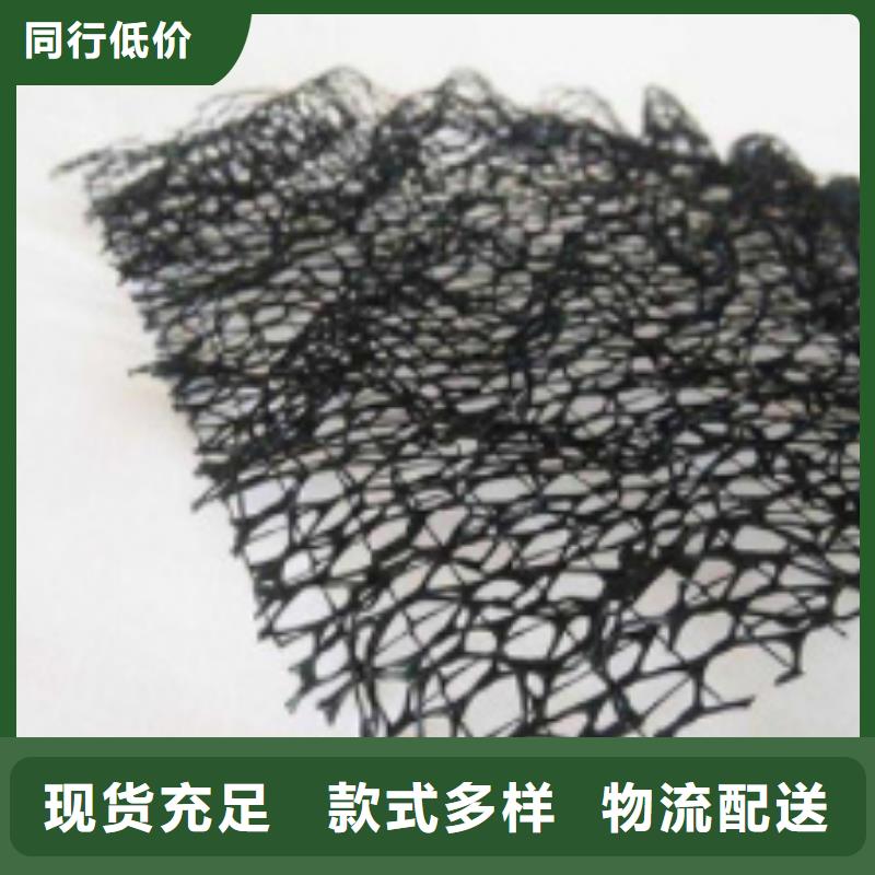 【三维植被网,排水板诚信厂家】