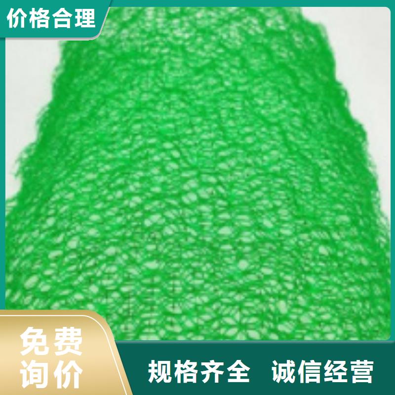 三维植被网植草格工厂批发