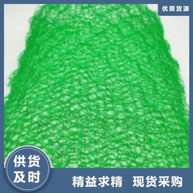 三维植被网-排水板信誉有保证