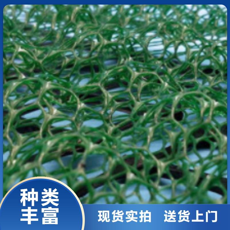 三维植被网防护虹吸排水收集系统按需定制