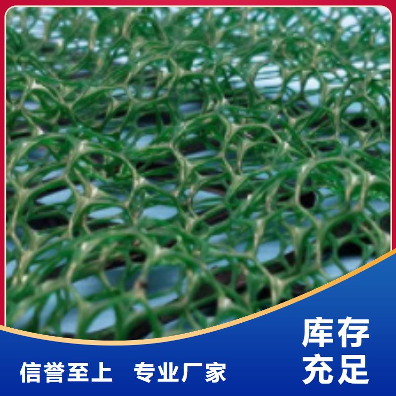 三维植被网_排水板客户好评