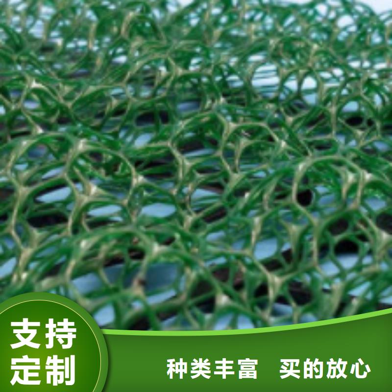 三维植被网-排水板实力优品