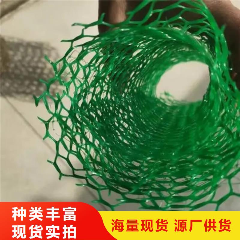 三维植被网植草格厂家直销