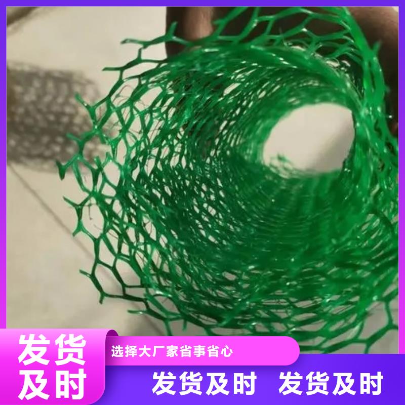 三维植被网水泥化粪池品质无所畏惧