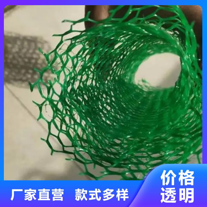【三维植被网排水板匠心品质】
