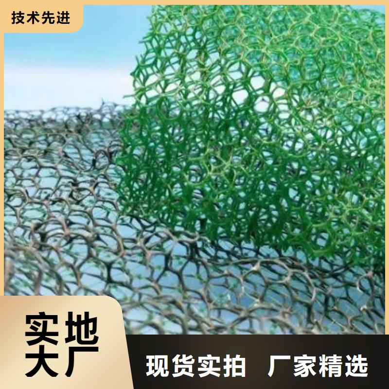 【三维植被网】_防护虹吸排水收集系统现货销售