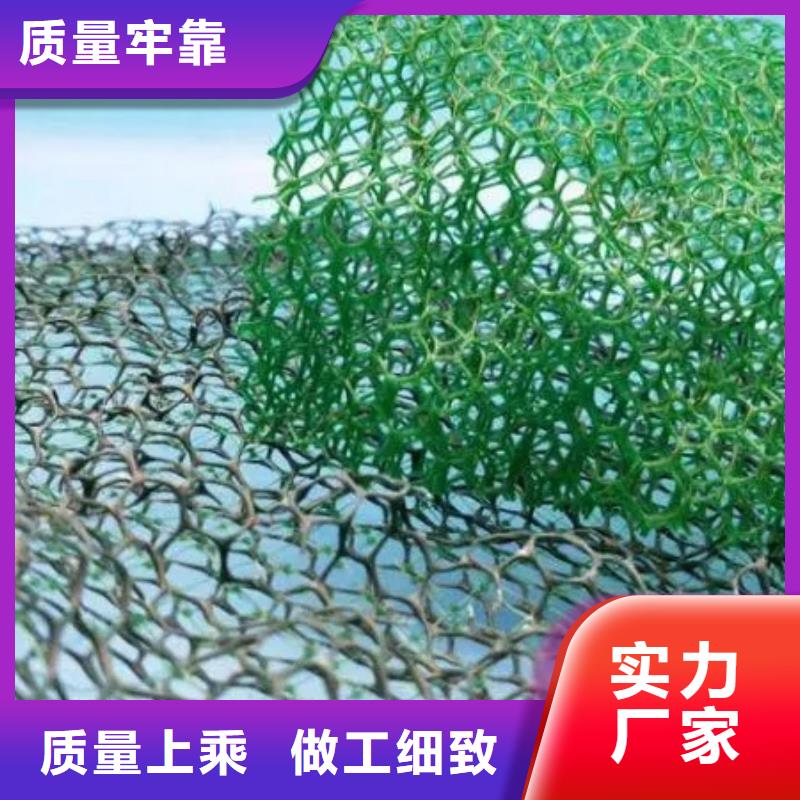 三维植被网_车库虹吸排水系统专业完善售后