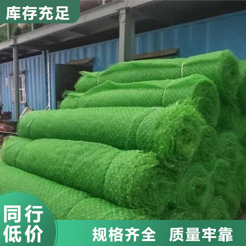 三维植被网防护虹吸排水收集系统支持定制