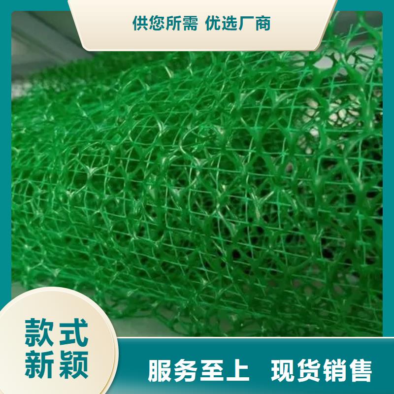 三维植被网-防护虹吸排水收集系统厂家直销大量现货