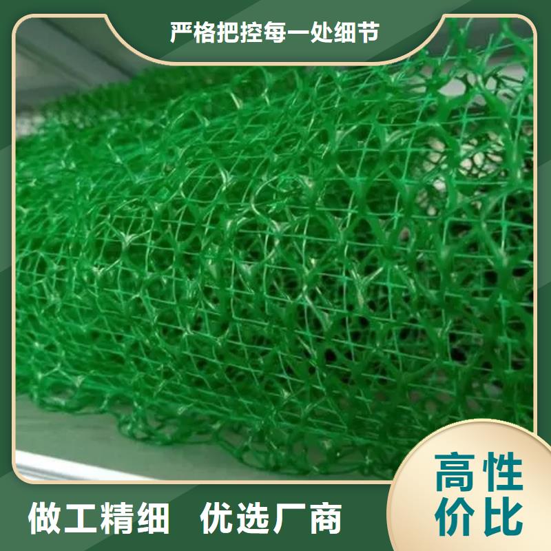 三维植被网-排水板信誉有保证