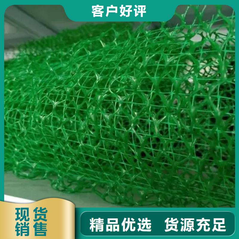 【三维植被网防护虹吸排水收集系统厂家直销供货稳定】