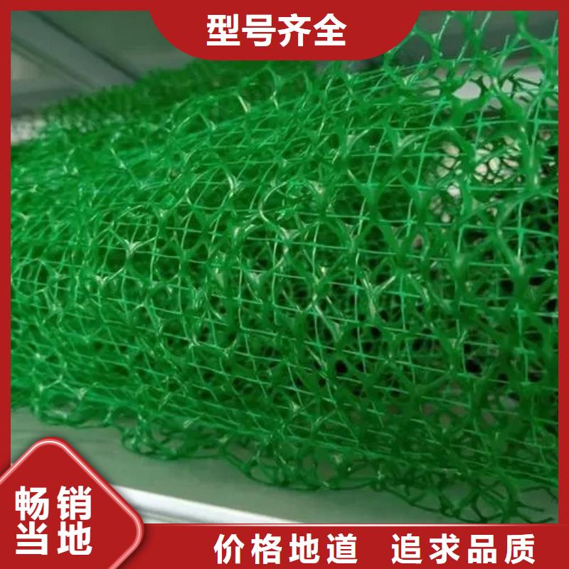 三维植被网_排水板实力商家
