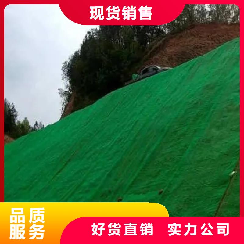 三维植被网水泥化粪池品质无所畏惧