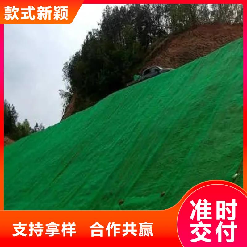 三维植被网_植草格精选货源