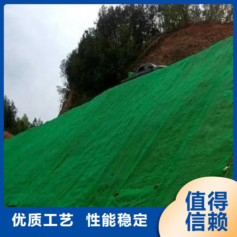 三维植被网_防护虹吸排水收集系统工艺层层把关