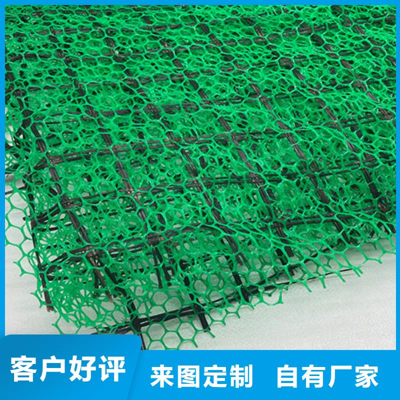 【三维植被网】_车库虹吸排水系统实体诚信厂家