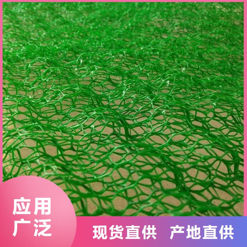 三维植被网【水泥化粪池】种类丰富