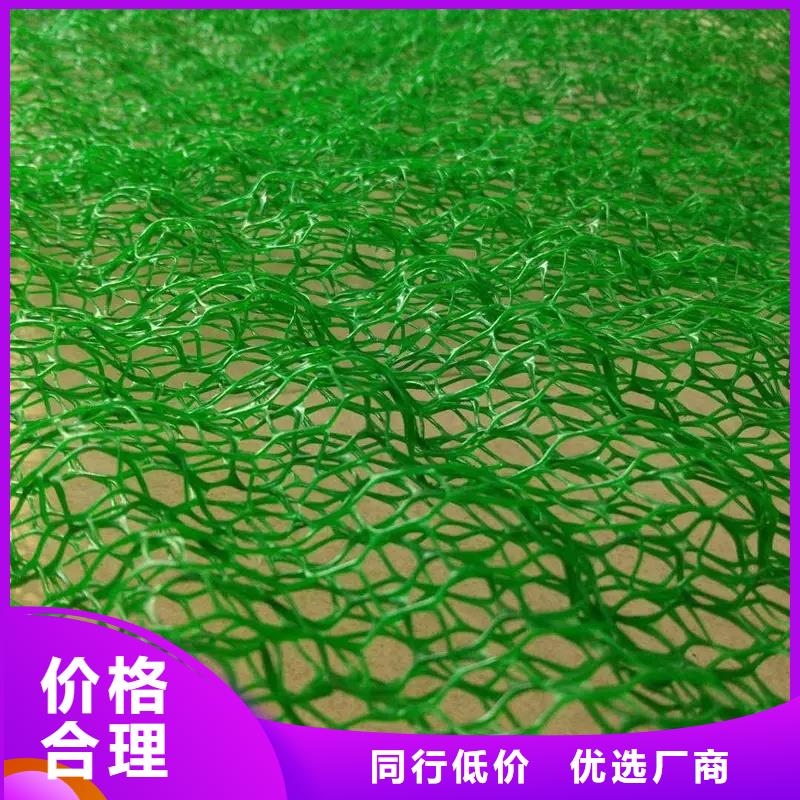三维植被网车库虹吸排水系统品质之选
