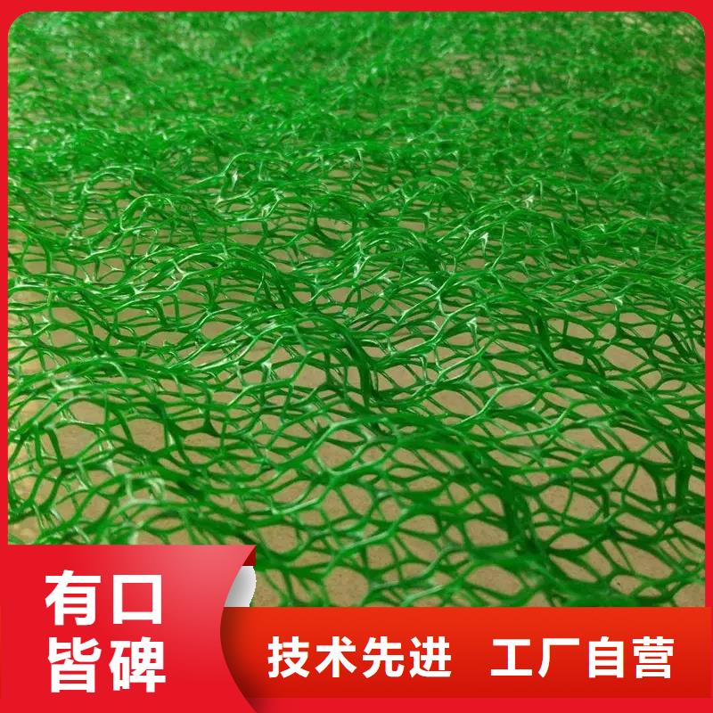 三维植被网_排水板实力商家供货稳定