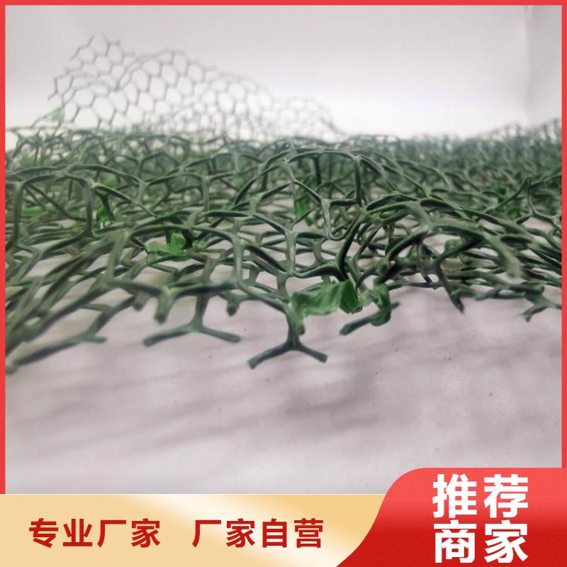三维植被网_排水板客户好评