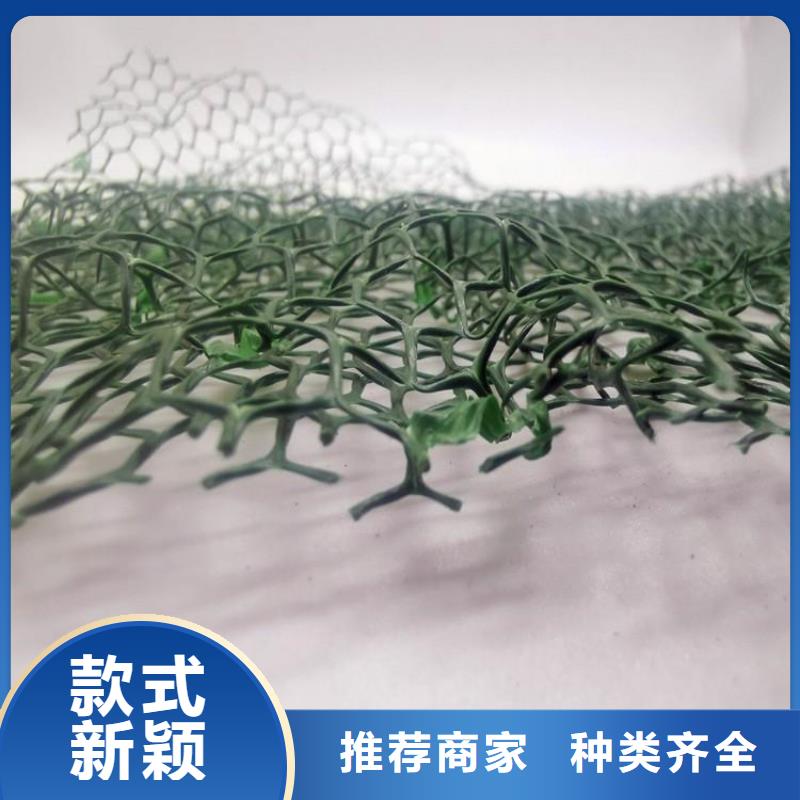 【三维植被网】_防护虹吸排水收集系统现货销售