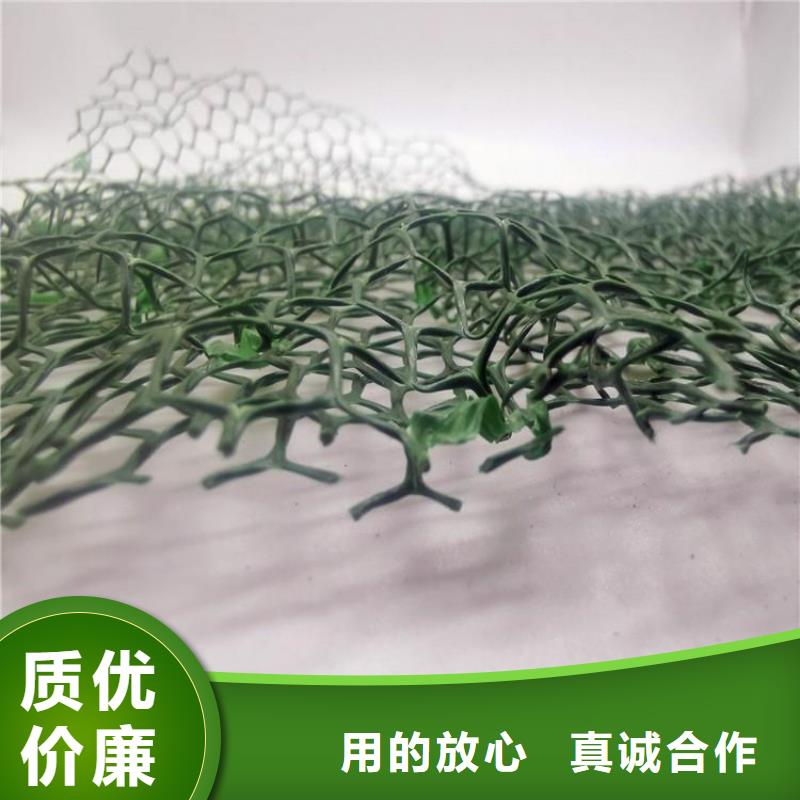 【三维植被网水泥化粪池产地厂家直销】
